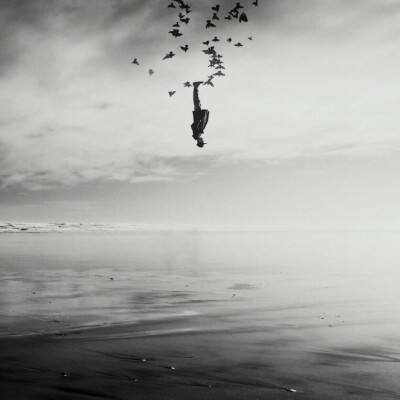 一肖三码app下载截图