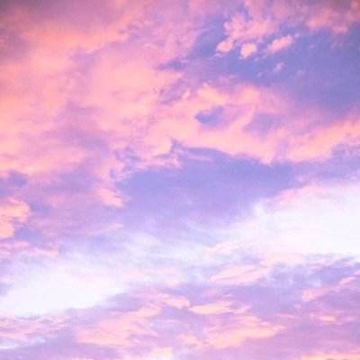 一肖三码app下载截图