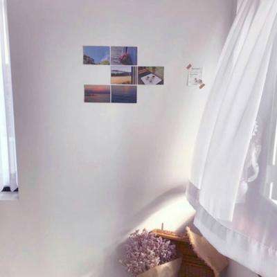 一肖三码app下载