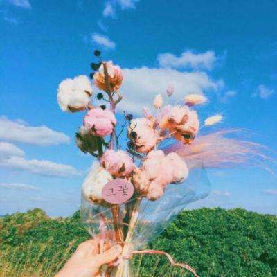 火狐体育APP下载手机版