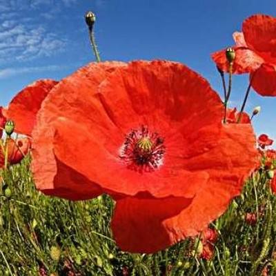 购彩中心welcome官网