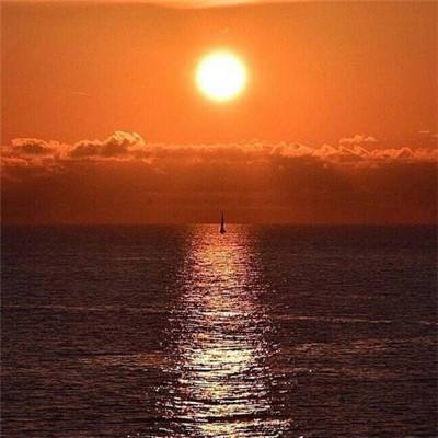 一肖三码app下载