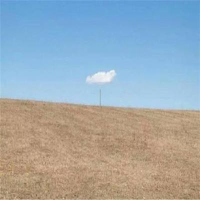 kaiyun电竞入口手机app下载截图